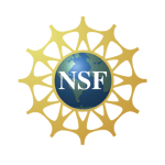Logo NSF