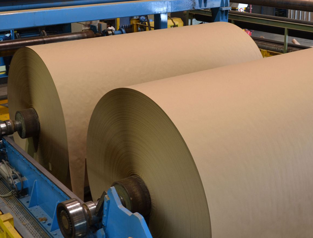 Kraft Paper Rolls